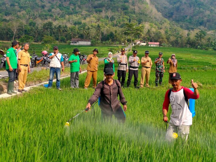 Pengendalian Hayati Yang Di Lakukan Agen Biokontrol