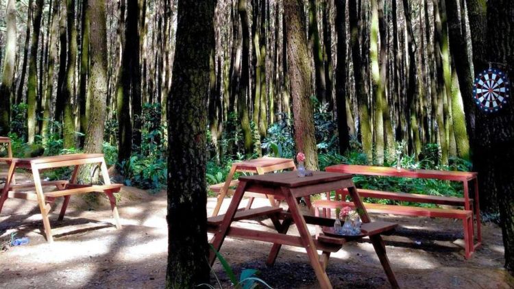 Deretan Wisata Bogor Yang Menarik Untuk Di Kunjungi