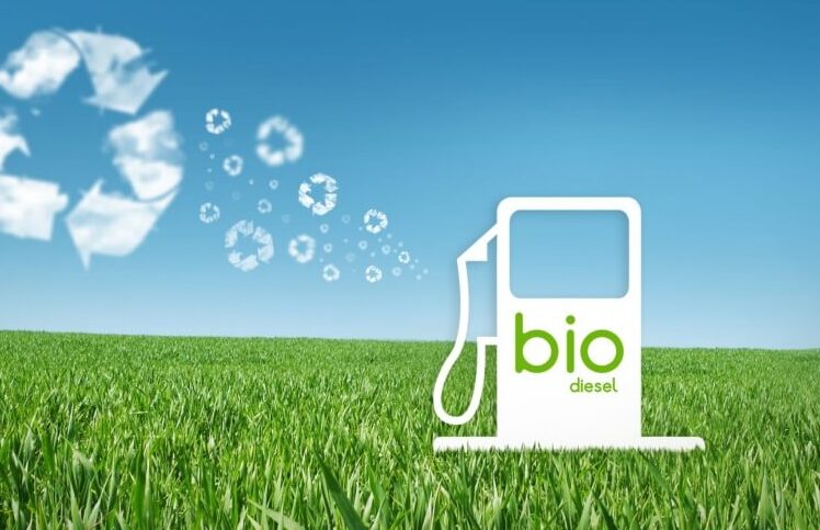 Penggunaan Biodiesel Sebagai Alternatif Ramah Lingkungan