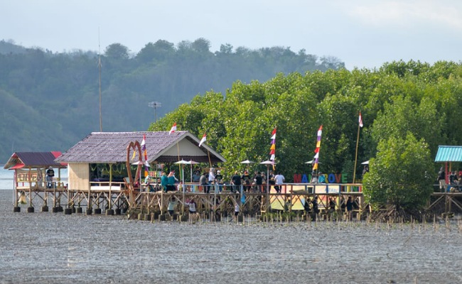 Pesona Hutan Bakau Punya Manfaat Bagi Masyarakat Setempat