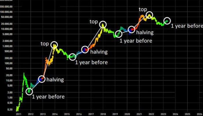 Pola Halving Sangat Penting Dalam Konteks Cryptocurrency