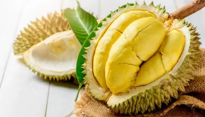 Buah Durian Tenyata Membawa Penyakit, Fakta Atau Mitos?