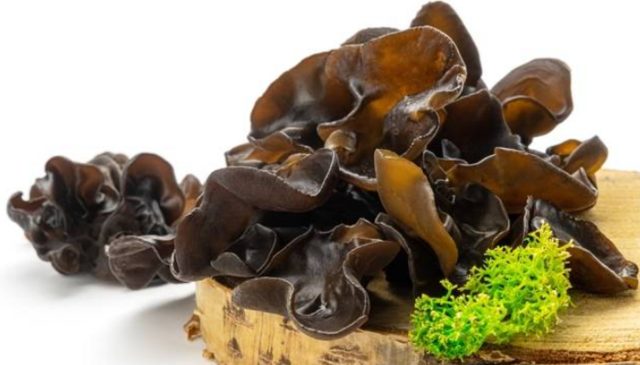 Auricularia Auricula Judae Memiliki Khasiat Bagi Kesehatan Tubuh