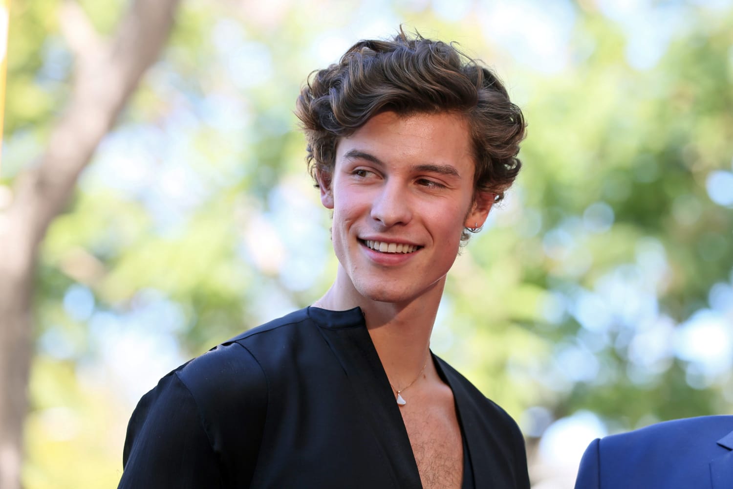 Shawn Mendes Penyanyi Muda Bersuara Emas Asal Kanada