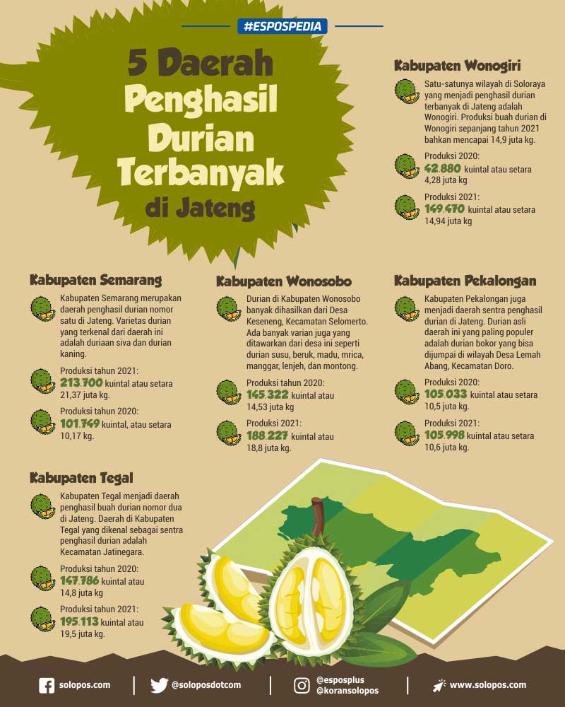 Surganya Durian Daerah Penghasil Durian Terbaik Di Indonesia