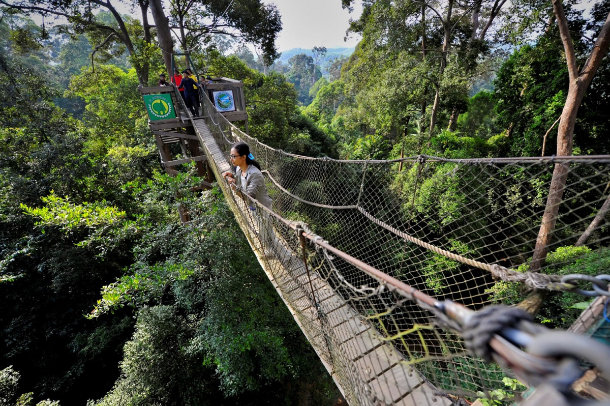 Taman Nasional Kutai Tawarkan Banyak Keanekaragaman Hayati