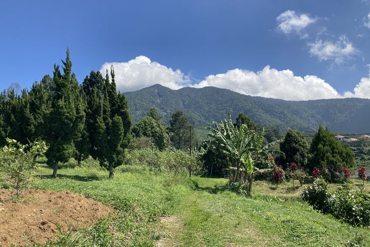 Trik Mendaki Gunung Salak Agar Aman Serta Lancar Nantinya