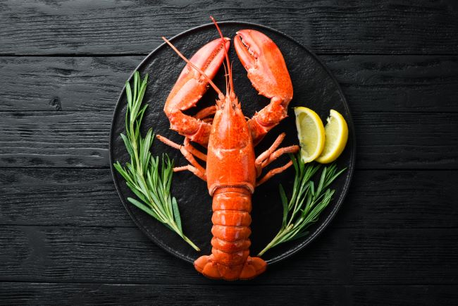 Udang Lobster Makanan Laut Yang Kini Menjadi Kuliner Populer