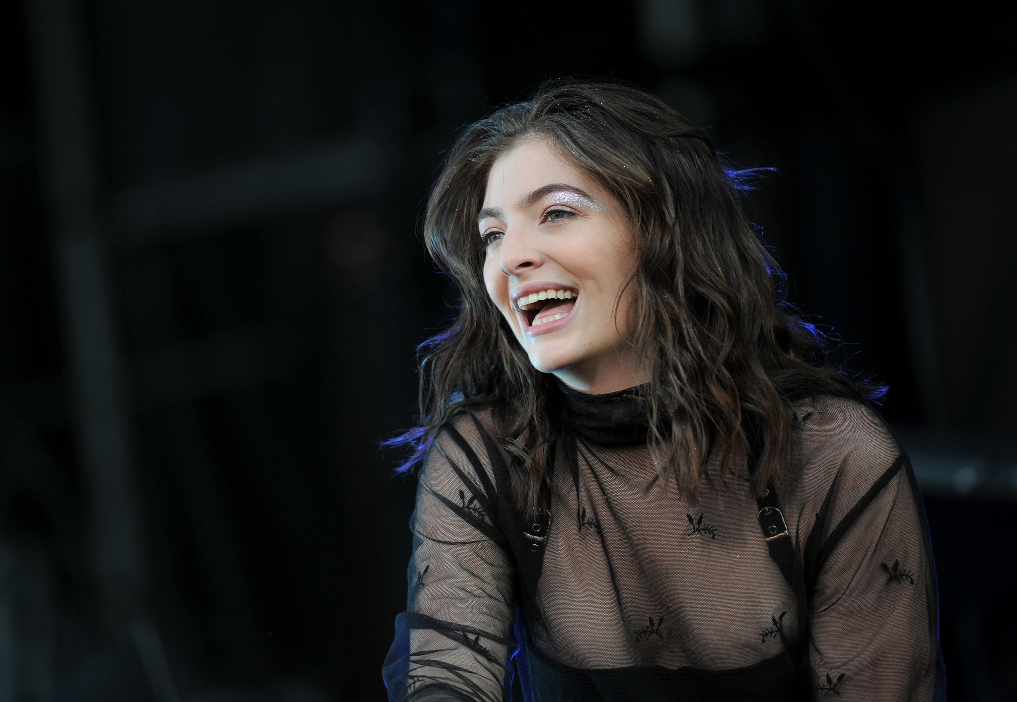 Evolusi Gaya Dan Suara Musisi Lorde