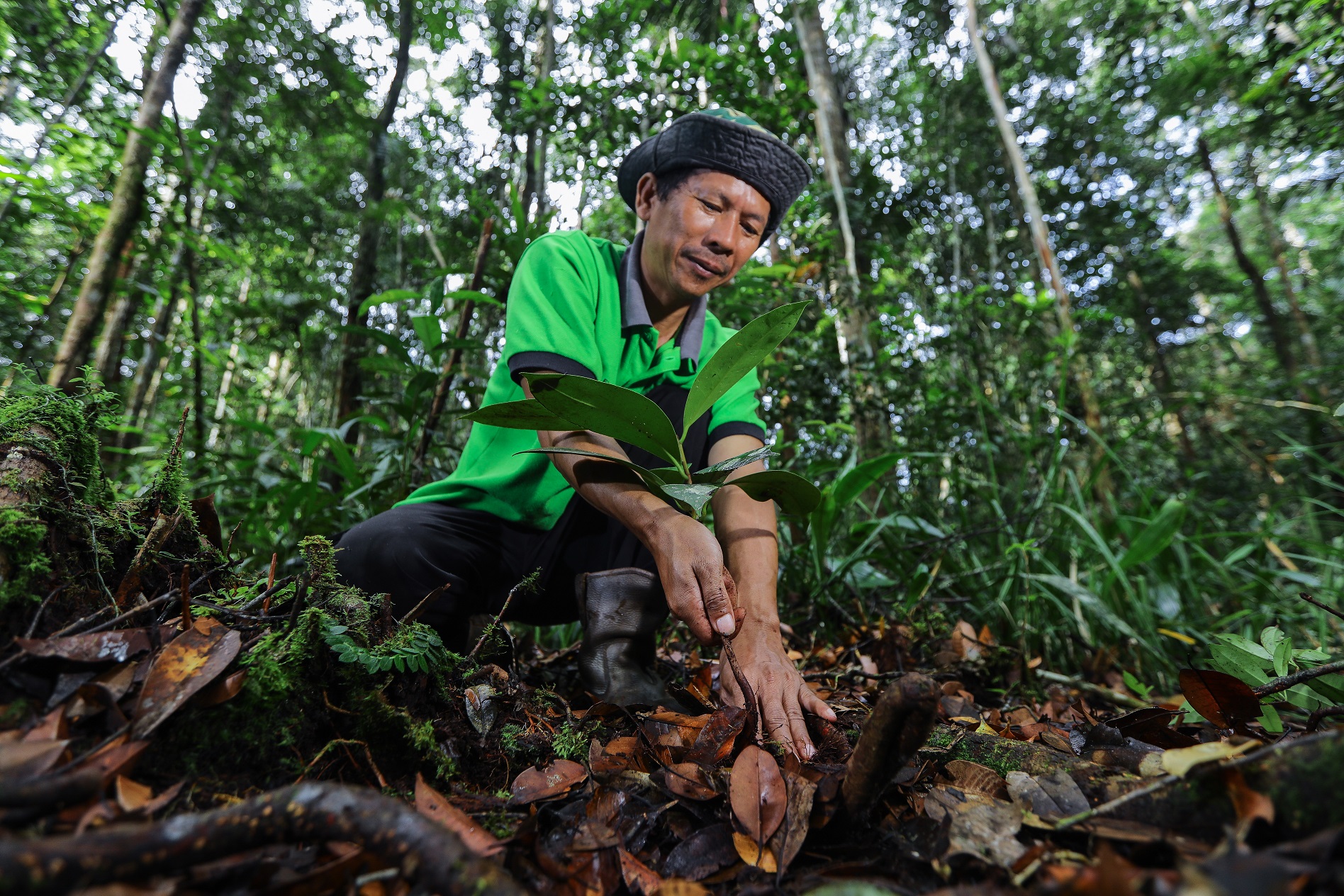 Restorasi Lingkungan Untuk Keberlanjutan Alam