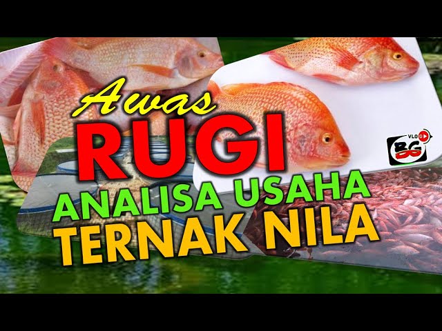 Bisnis Nila