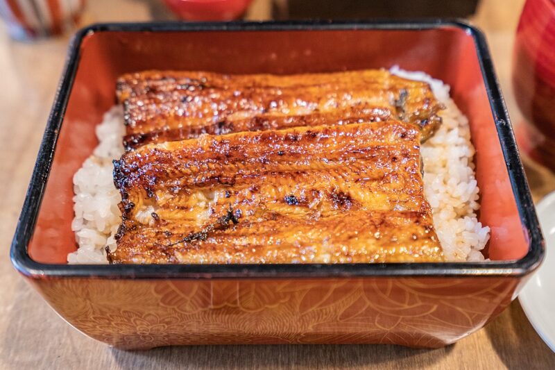 Kuliner Khas Unagi Yang Berasal Dari Jepang