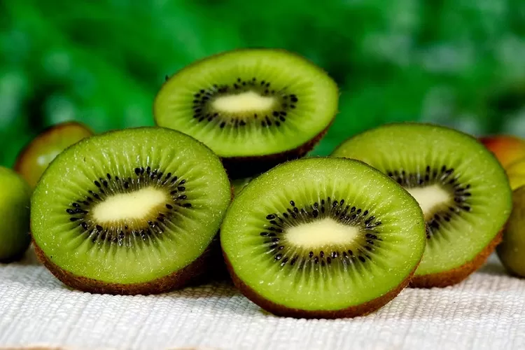 Manfaat Menakjubkan Buah Kiwi