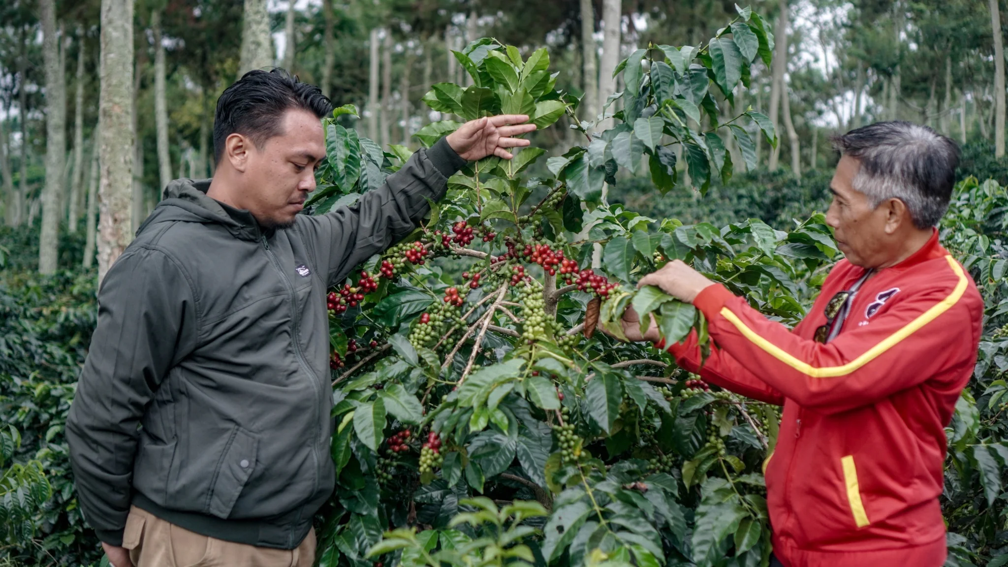 Revolusi Kopi Bisnis Lokal Dalam Pasar Global