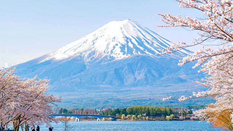Pegunungan Fuji Menawarkan Kekayaan Budaya Menadalam