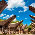 Tongkonan Toraja Simbol Kehormatan dan Identitas Budaya