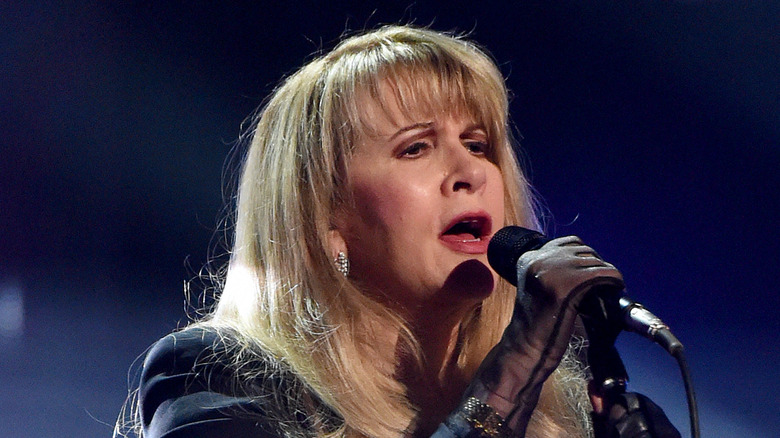 Penyanyi Stevie Nicks