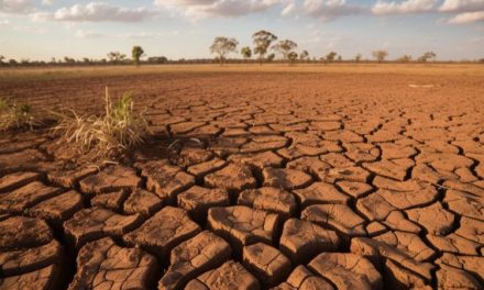 Fenomena El Nino Yang Wajib Kita Antasipasi Kejadiannya