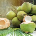 Buah Kelapa Hijau Ternyata Banyak Manfaat Kesehatannya