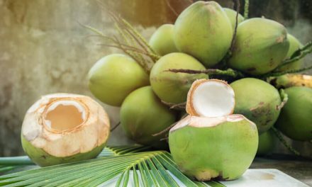 Buah Kelapa Hijau Ternyata Banyak Manfaat Kesehatannya