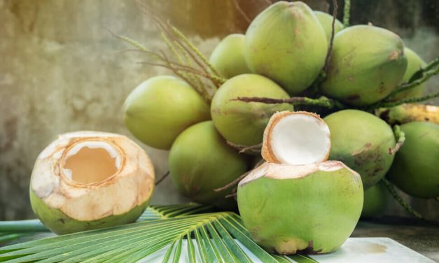 Buah Kelapa Hijau Ternyata Banyak Manfaat Kesehatannya