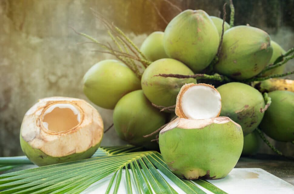 Buah Kelapa Hijau Ternyata Banyak Manfaat Kesehatannya
