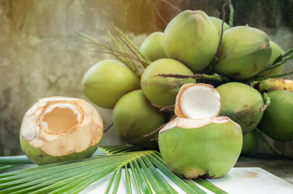 Buah Kelapa Hijau